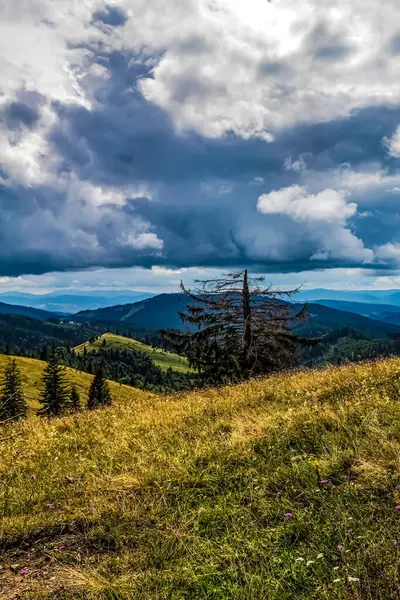 Karpatlar güzel manzara.