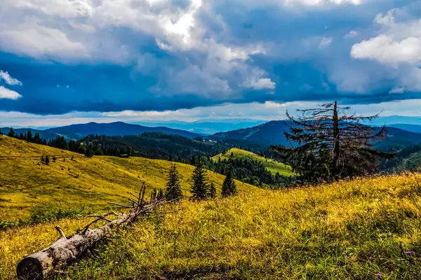 Karpatlar 'da bulutlu bir gökyüzü olan güzel dağ manzarası, Ukrayna