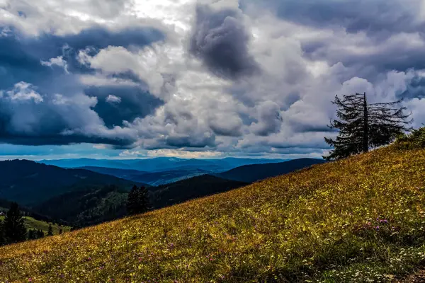 Karpatlar 'ın dağlarında güzel bir dağ manzarası.