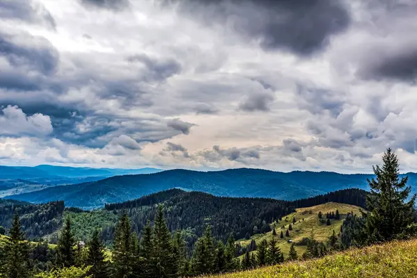 Karpatlar 'daki dağlarda yaz manzarası