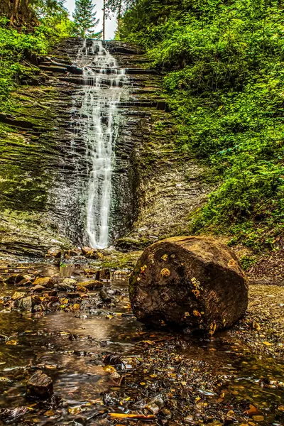 Yeşil ormanın arka planında güzel bir şelale