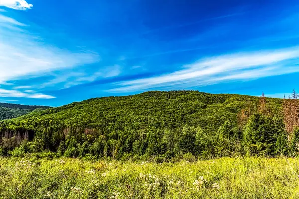 güzel manzara mavi gökyüzü ve beyaz bulutlar