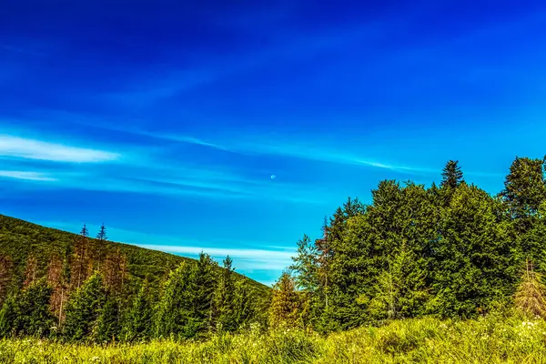 Arkasında bir dağ olan güzel bir manzara.