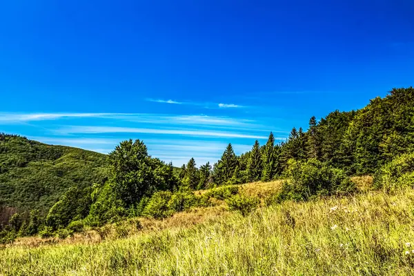 dağlarda yeşil tepeler