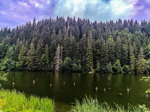 Manzaralar, Doğa, Avrupa, Doğu Avrupa, Romanya