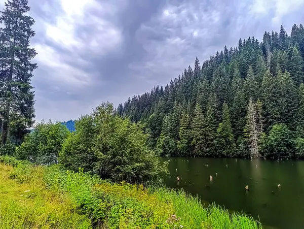 Nehir ve gölü olan güzel bir manzara.