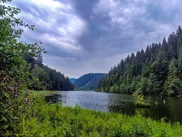Güzel göl manzarası
