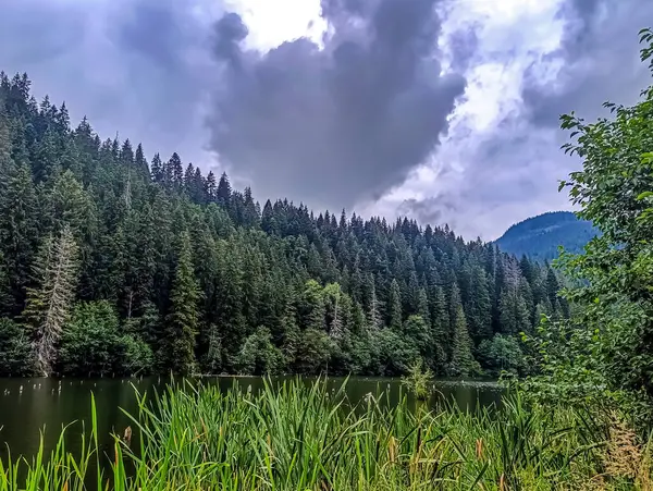 Dağlardaki nehrin güzel manzarası