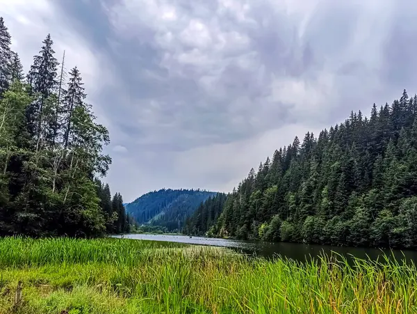 Karpatlar 'daki güzel dağ nehri.