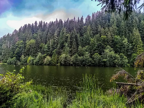 Arka planda nehir ve göl olan güzel bir manzara.