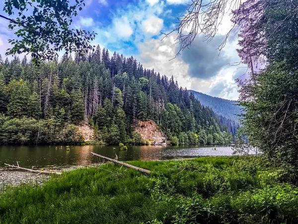 Güzel göl manzarası