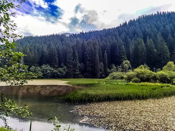 Dağlardaki güzel nehir