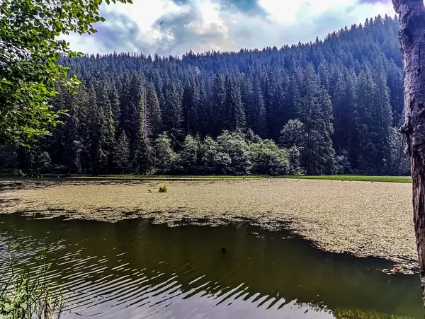 Dağlardaki güzel göl manzarası