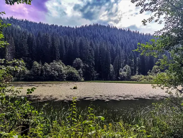 Dağlarda gölü olan güzel bir manzara.