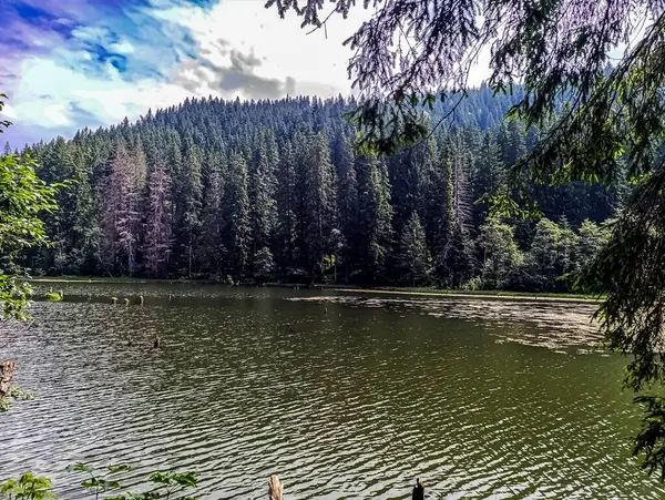 Dağlardaki güzel göl manzarası