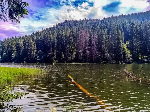 Karpatlar 'daki Dağ Gölü.