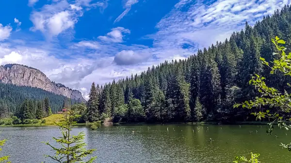Göl ve dağlarla dolu güzel bir manzara.