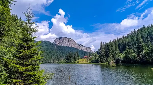 Dağların güzel manzarası