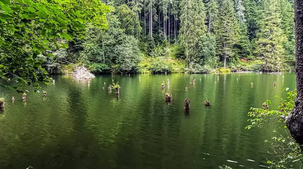 Güzel göl manzarası