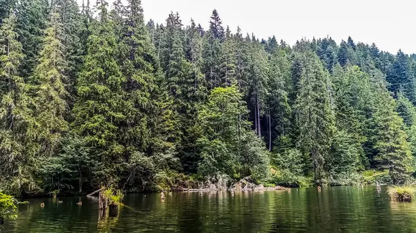 Dağlardaki gölün güzel manzarası