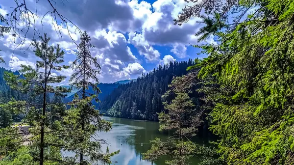 Dağlardaki nehrin güzel manzarası