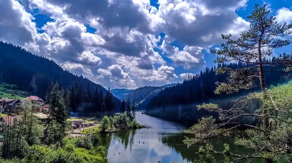 Nehir ve orman olan güzel bir manzara.