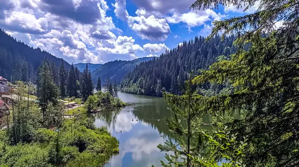 Dağlardaki güzel nehir manzarası