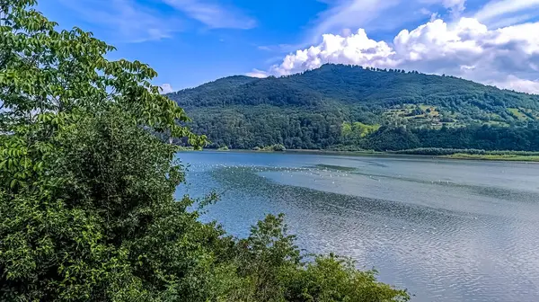 Dağlarda göl ve orman