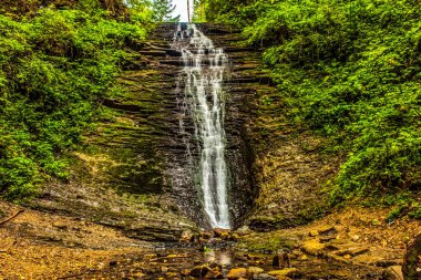 Ormanda güzel bir şelale