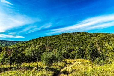 Yaz mevsiminde dağ manzarası