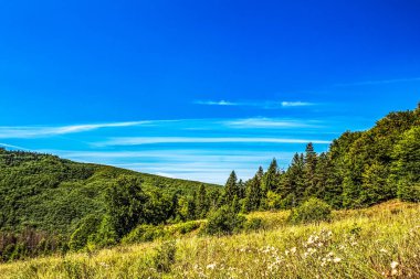 Güneşli bir günde yeşil dağ manzarası