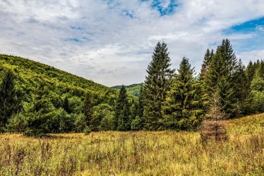 Dağ sırası olan güzel bir manzara.