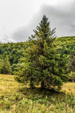 Dağ'ın güzel görünümünden