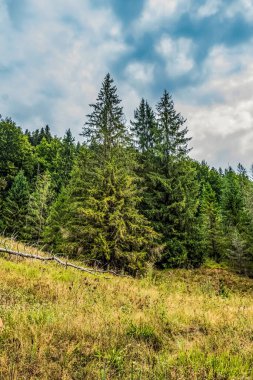 Czech cumhuriyetindeki sonbahar manzarası