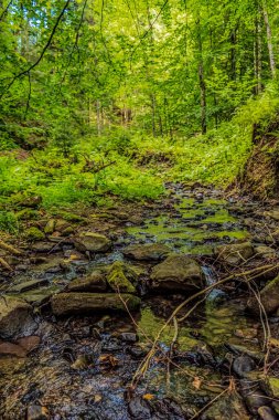 Karpat dağlarında güzel şelale, Ukrayna