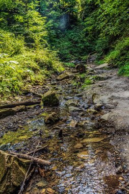 Doğanın güzel manzarası