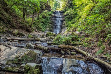 Ormandaki güzel şelale