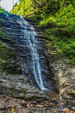 Ormanda güzel bir şelale