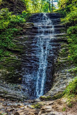 Karpat ormanındaki dağda şelale.