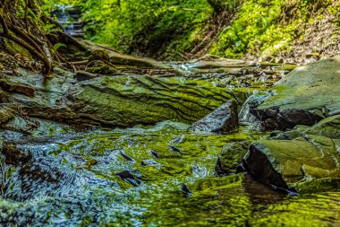 ormanda kayalar üzerinde şelale