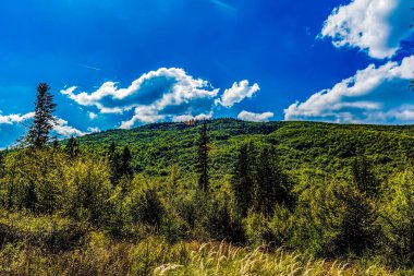 Dağlardaki güzel dağ manzarası