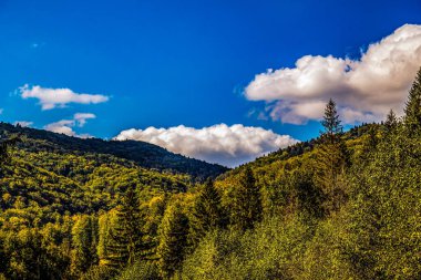 Sonbaharda Alplerin dağlarında sonbahar manzarası.