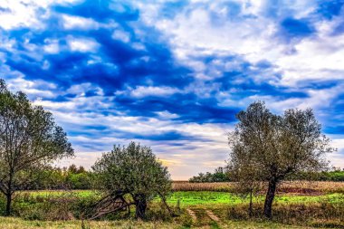 Kırsal manzarası çok güzel.