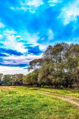 Arkasında yeşil çimenler ve ağaçlar olan manzara