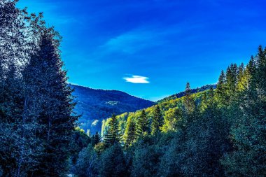 Dağları ve ormanı olan güzel bir manzara.