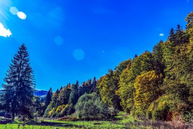 Dağ sırası olan güzel bir manzara.