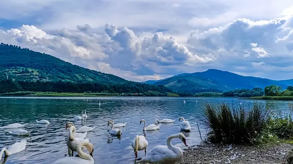 Dağlarla çevrili güzel bir göl manzarası ve bulutlu bir gökyüzü.