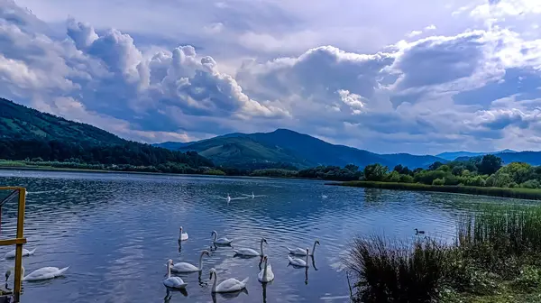 Dağlardaki güzel göl manzarası