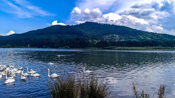 Dağlarda gölü olan güzel bir manzara.