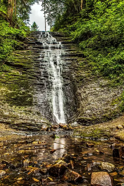 Ormanda yeşil ağaçlı şelale.